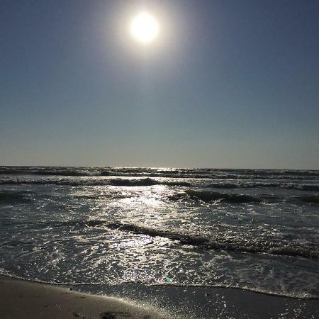 Mamaia Nord Daire Navodari Dış mekan fotoğraf